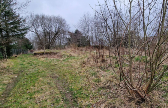 Plot of Land for sale in Gartly, Huntly photo